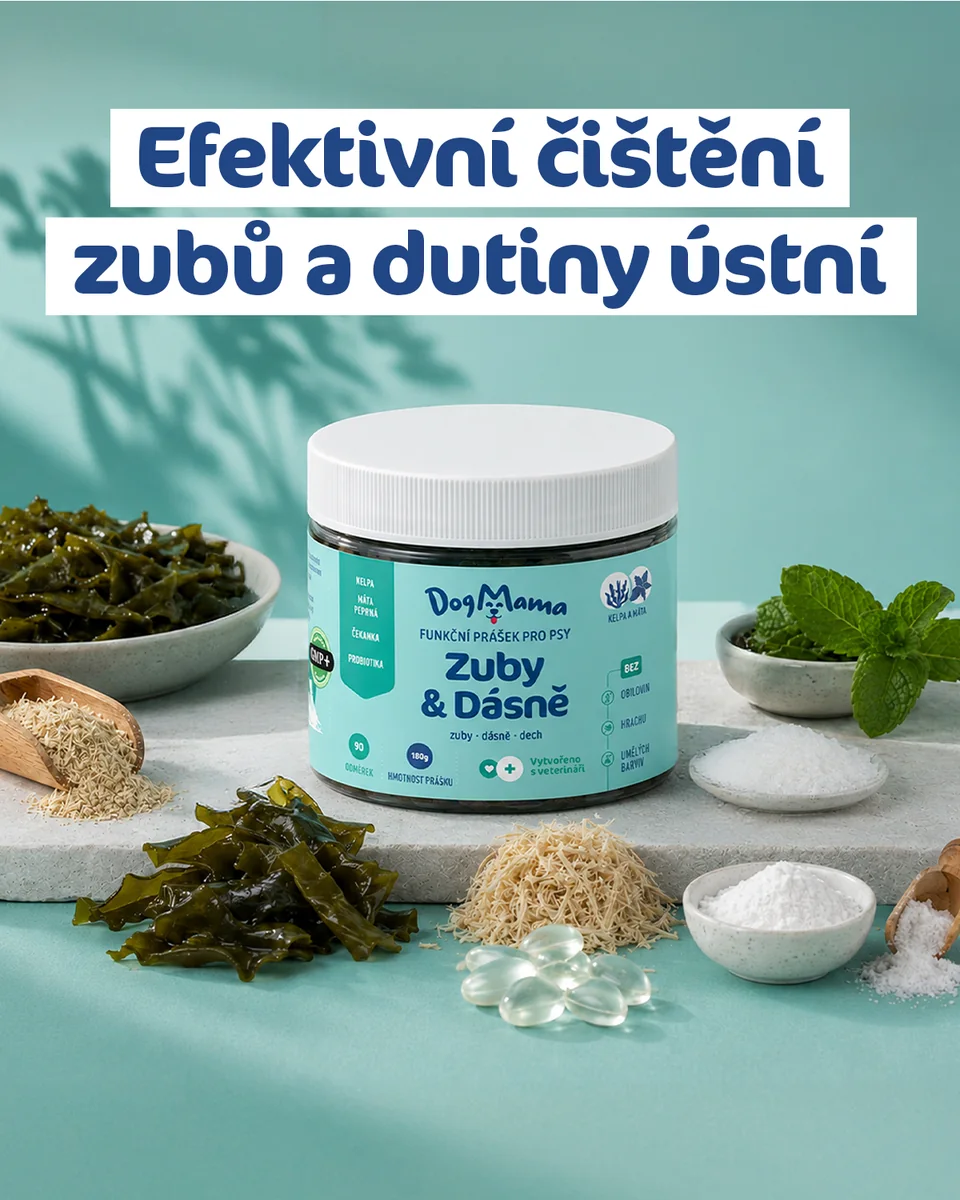 Produkt DogMama Zuby a ďasná